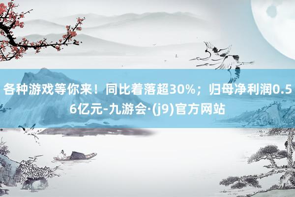 各种游戏等你来！同比着落超30%；归母净利润0.56亿元-九游会·(j9)官方网站