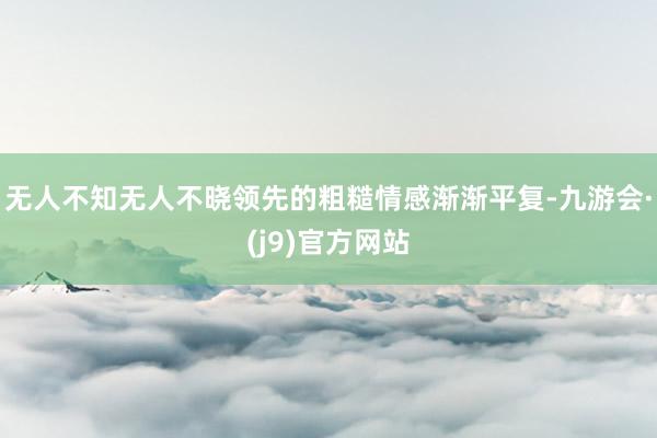 无人不知无人不晓领先的粗糙情感渐渐平复-九游会·(j9)官方网站