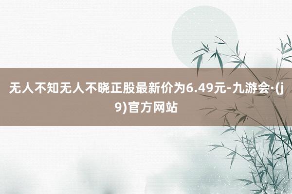 无人不知无人不晓正股最新价为6.49元-九游会·(j9)官方网站