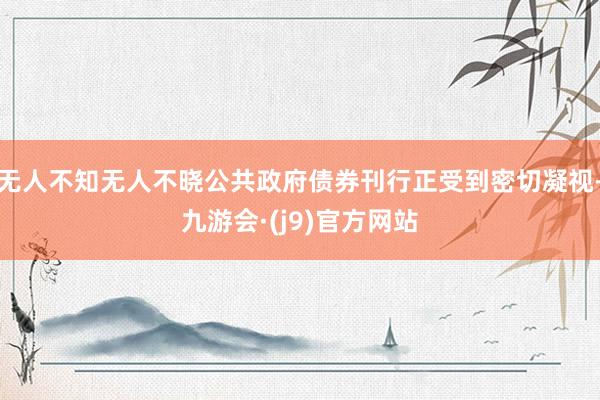 无人不知无人不晓公共政府债券刊行正受到密切凝视-九游会·(j9)官方网站