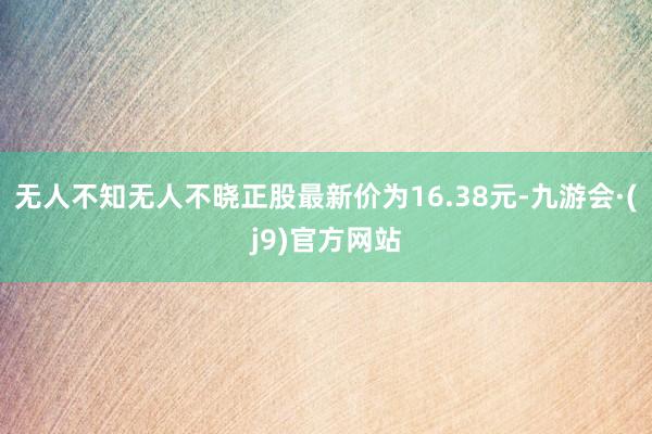 无人不知无人不晓正股最新价为16.38元-九游会·(j9)官方网站