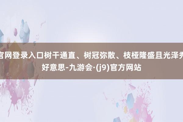 官网登录入口树干通直、树冠弥散、枝桠隆盛且光泽秀好意思-九游会·(j9)官方网站